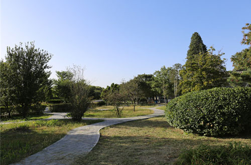 陵园环境