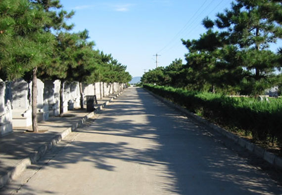陵园环境